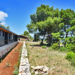 DUGI OTOK - Modern one-story house 100m from the sea
