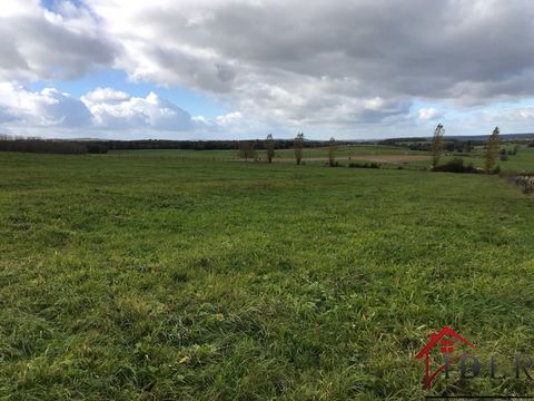 Rare, very beautiful land with a capacity of one hectare, constructbile, unobstructed view, no neighbors. 2 steps from the golf of Genevrey, 15 minutes from Vesoul. Michèle PROUVEUR Mail : ... Phone : ... Ad written and published by an Agent -