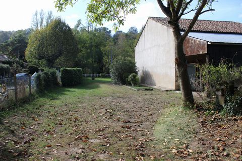 photo no. 16
