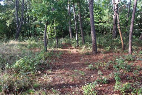 Great plot of constructible land. Water, electricity, telephone line, and mains drainage already in place. The plot is situated in a quiet residential lane on the edge of a village just minutes away from Gaillac. Oaks and pine trees have been left in...