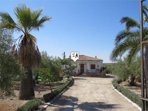This totally fenced-in Chalet style Cortijo is surrounded by olive trees, located near Monte Lope Alvarez in the province of Jaen, in Andalucia, Spain. Within the 19,037m2 plot fences and pine tree borders of the Cortijo there are around 18 olive tre...