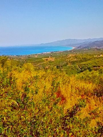For Sale Plot, Kyparissia 12.165sq.m , features: For development, For Investment, Amphitheatrical, Sloping, For tourist use ,  price: 55.000€