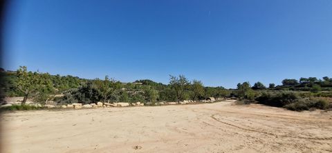 Agricultural land of 21512sqm arranged in rice fields with the possibility of extension of 7000sqm for an additional 2000 euros. 2 hours from Barcelona and 35 minutes from the sea. The land is served with agricultural water distributed throughout the...