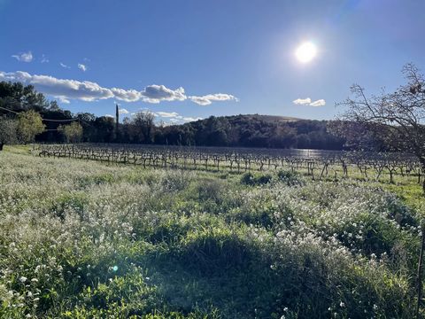 Family-run wine estate located in the centre of the Var, in the heart of the Cotes de Provence appellation, with a surface area of around 55 hectares supplemented by leased plots.The size of the vineyard, visibility, position and configuration of the...