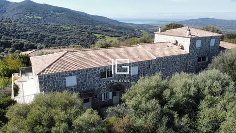 A vendre cette prestigieuse propriété en Corse, située sur la commune de Sollacaro, à deux pas du célèbre site préhistorique de Filitosa, offrant une importante activité de location saisonnière. Dotée d'une surface habitable de 700m2 répartie entre :...