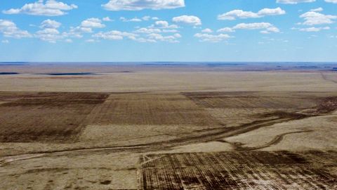 421.88 acre tilled dry land farm ground and 175 acres grassland east of Colorado Springs! Wide open spaces! Add to your farming or grazing operation, or build your farm. Towering views of Pikes Peak and views of the Spanish Peaks! Tons of road fronta...