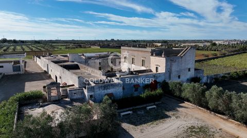 COPERTINO - LECCE - SALENTO A few kilometers from the town of Copertino, surrounded by a vast expanse of almost 6 hectares of land, is available for sale an ancient masseria dating back to the mid-1800s. This beautiful property is located in 