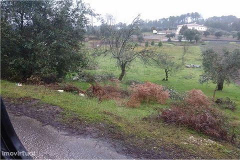 Agricultural land with olive trees and plenty of birth water, with 4 wells where you can grow a variety of vegetables. It is about two kilometers from the headquarters of the parish of Santiago da Guarda.