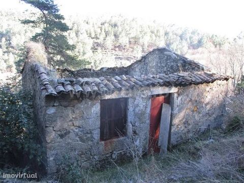 Small farm with 1.8ha. Implantation area of 100m². Own spring. Mine. Fertile. With culture. Mountain views. Good access. Features Zone Access: Tar Centrality: Distant City