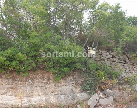 Extensive plot of rustic land in Serra de Alface! With around 12,490 m2, this land has a slight slope and a fertile soil. The capital of the Algarve, Faro, is from the twelve century, so strolling through its streets feels like walking in a history b...