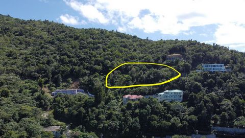 Escape to your own piece of heaven nestled high atop Mount Sage, Tortola, in the breathtaking British Virgin Islands. This pristine, undeveloped parcel of land spans just under half an acre, offering an unparalleled opportunity to build your dream re...
