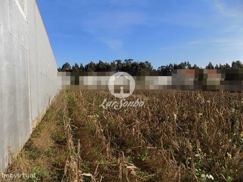 Fantastic land of total construction of type 3 with 2250m2. Allows the construction of 4 or 5 individual bites with basement, ground floor and 1st floor or ground floor, 1st and 2nd, also allows the construction in height of apartments. Located near ...