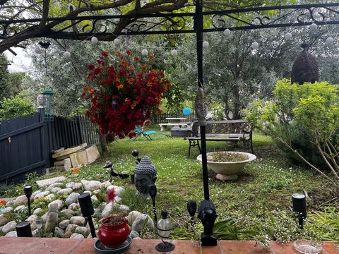 photo no. 19