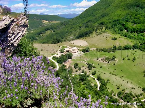 Au cœur du Parc Régional des Baronnies Provençales, au croisement de la Provence et des montagnes alpines, un domaine de 28 hectares se cache dans une nature totalement préservée où une faune et une flore exceptionnelles dominent. Loin des axes routi...