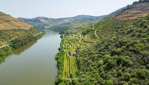 Dieses Weingut liegt in Ervedosa do Douro, in der Gemeinde São João da Pesqueira, und ist von einigen der bekanntesten Quintas der Douro-Region umgeben, wie z. B. der Quinta de São José, der Quinta da Gricha und anderen, sowie der Quinta da Romaneira...