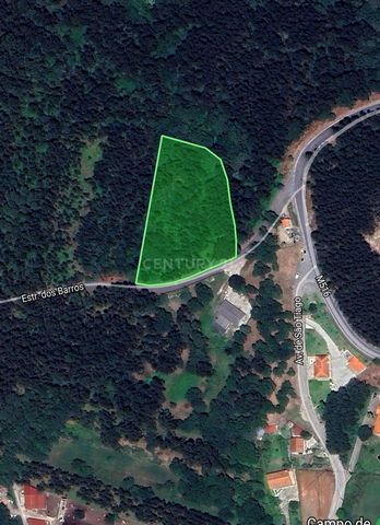 Terreno em Vila Nova de Cerveira, na freguesia de Gondarém, com 6.500 m2, com viabilidade de desafetação de área de construção de 325 m2 (5% do terreno). Zona designada no Plano Diretor Municipal de Vila Nova de Cerveira como 