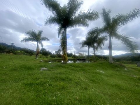 I sell lots in Lake Calima, with spectacular views of the lake and the mountains. Beautiful lots to build your dream home facing the lake. Lots located in a plot facing the lake, wonderful view and strategic location 5 minutes from the town and all t...