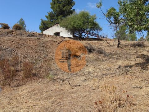 Mixed land of 11 hectares in Odeleite. It includes a house, industrial structures and a pine plantation. It is located next to the village of Odeleite and the dam reservoir. This land benefits from fantastic views and is ideal for building a house or...