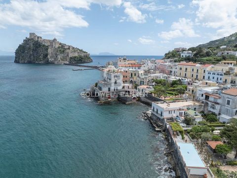 Proponiamo in vendita meravigliosa Villa che si erge maestosa sulle scogliere dell'incantevole isola napoletana, incastonata nella caratteristica Ischia Ponte incorniciata dal blu del Mar Tirreno. Un tempo dimora di una donna ischitana emigrata negli...