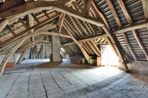 photo no. 1