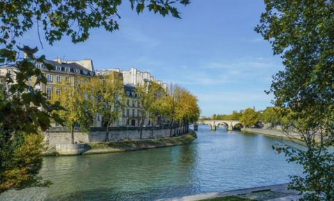 Oase van rust tussen de twee Parijse kusten op het Île Saint Louis, kruising, uitzicht op de Seine, elegantie 4 kamers 3 slaapkamers in perfecte staat gelegen in het hart van Parijs, op het emblematische Île Saint Louis in een historisch gebouw uit 1...