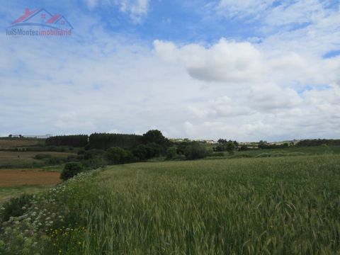 Barren land for agriculture in Fontelas - Lourinhã. It does not have a well. The entire land is served by an easily accessible utility for cars and tractors. The surrounding land is cultivated. Energy Rating: Exempt #ref: ...