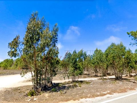 DH Lagos presents, Rustic land with 23.553400 ha, located in the Samouqueira area, within walking distance of the village of Raposeira. Located next to the access road, this very flat land has uncovered areas and areas with many trees. For more infor...