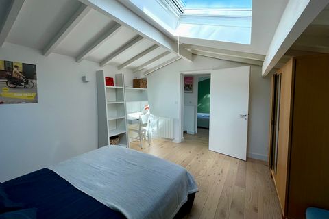 photo no. 12