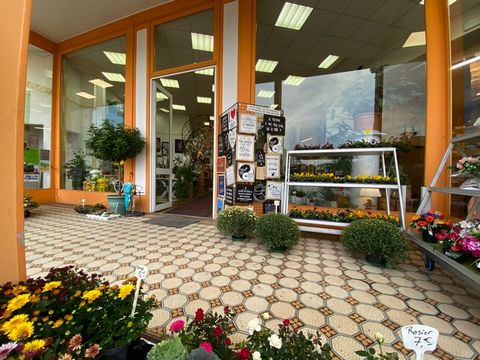 Dpt Haute Marne (52), à vendre BOURBONNE LES BAINS Fleuriste