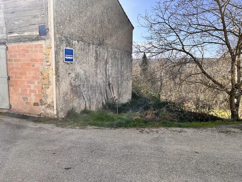 photo no. 15