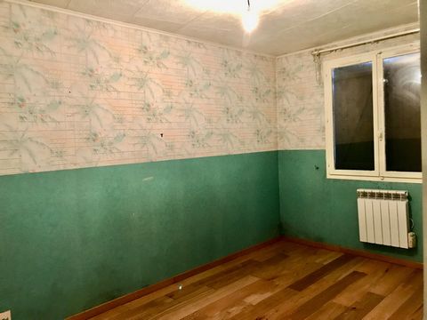 photo no. 7