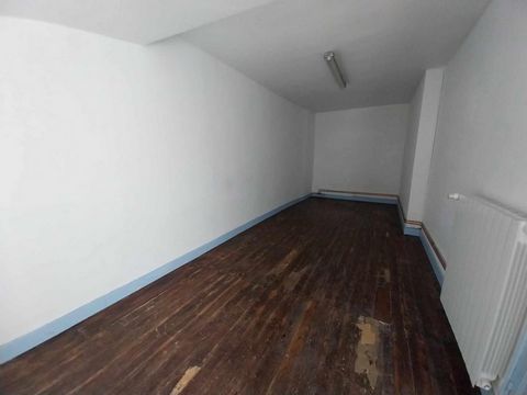 photo no. 11