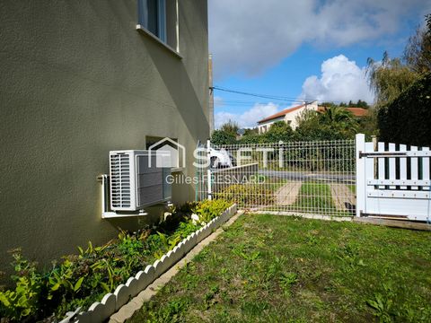 photo no. 9