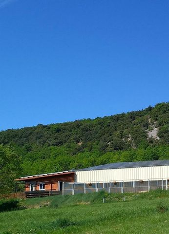 Vente d'un chenil