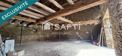 photo no. 6