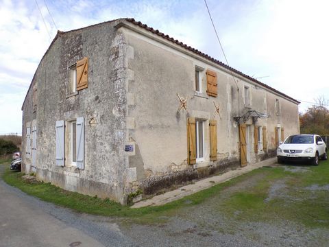 photo no. 6