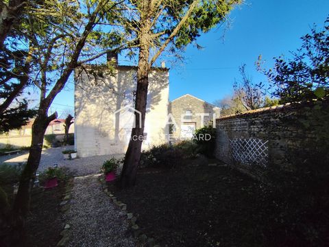 photo no. 2