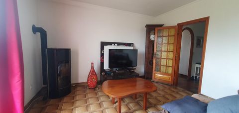 photo no. 5