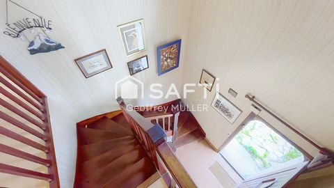 photo no. 5
