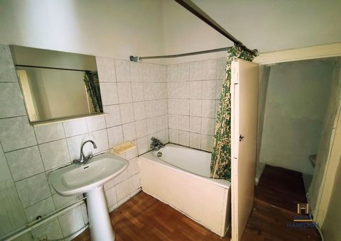 photo no. 11
