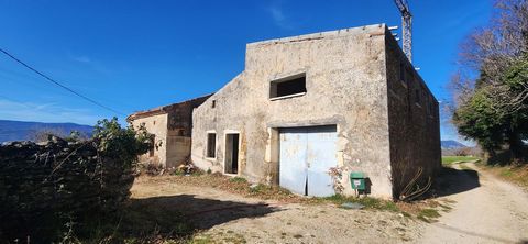 photo no. 2