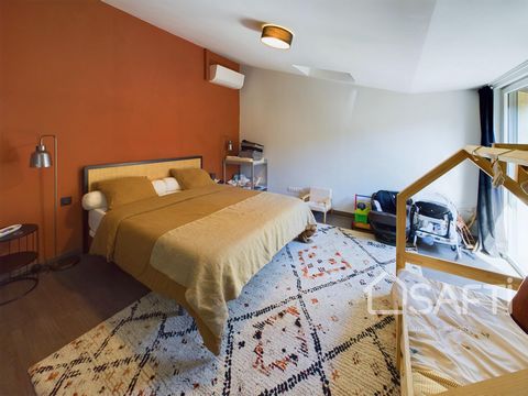 photo no. 15