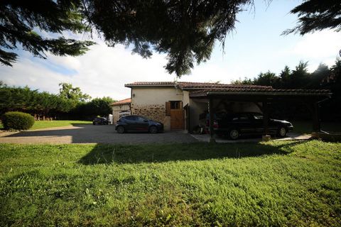 photo no. 2
