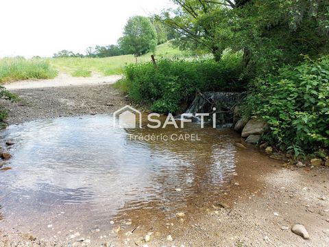 photo no. 11