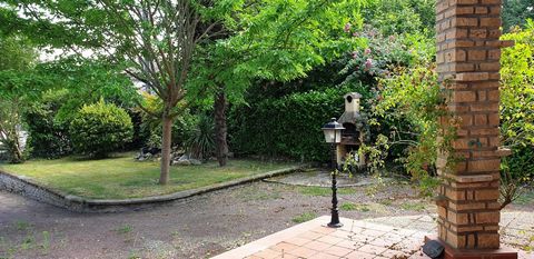 photo no. 12