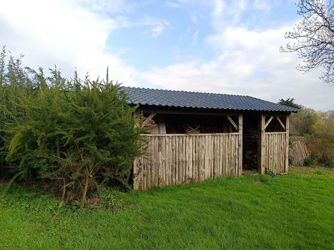 photo no. 11