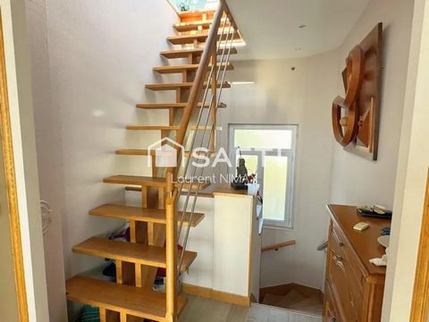 photo no. 12