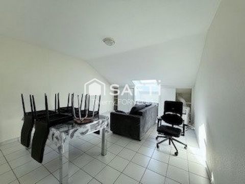 photo no. 10