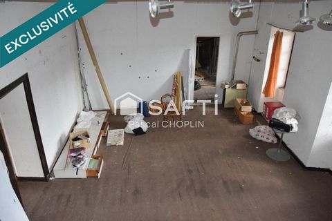 photo no. 11