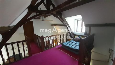 photo no. 10